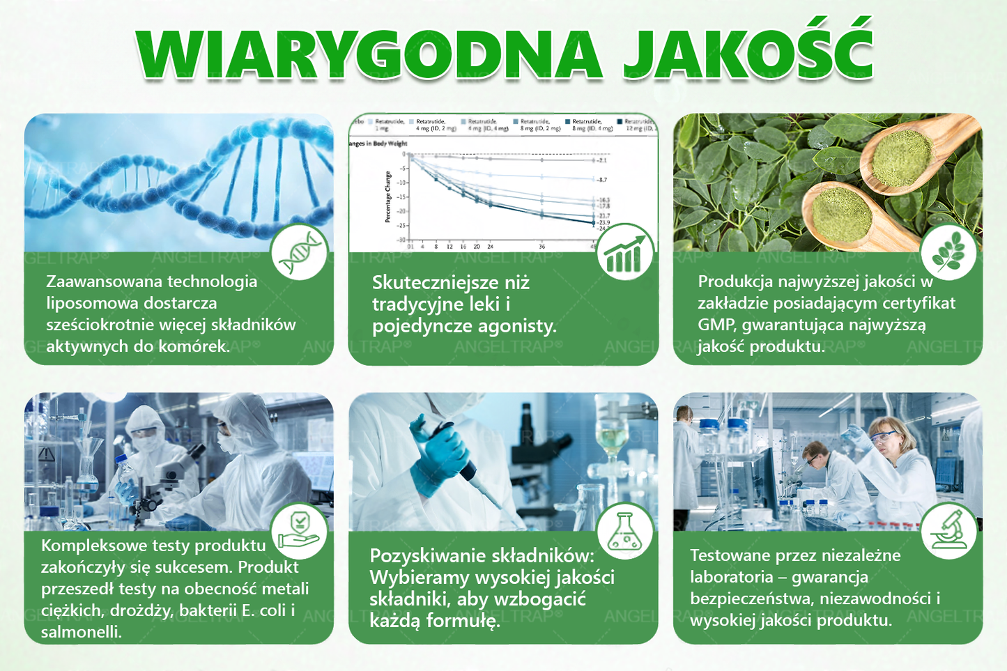 🧡ANGELTRAP® Moringa × Berberyna × AMPK 10-w-1 Wsparcie metaboliczne, plaster z nanotechnologią mikroigłową 🇵🇱(Wystarczy raz dziennie, widoczne efekty w 7 dni) ✅ Na otyłość, wiotką skórę, cukrzycę, bezdech senny, problemy ze stawami i wiele innych