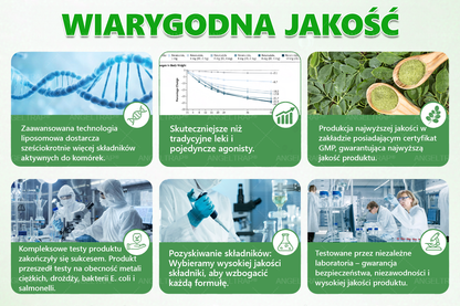 🧡ANGELTRAP® Moringa × Berberyna × AMPK 10-w-1 Wsparcie metaboliczne, plaster z nanotechnologią mikroigłową 🇵🇱(Wystarczy raz dziennie, widoczne efekty w 7 dni) ✅ Na otyłość, wiotką skórę, cukrzycę, bezdech senny, problemy ze stawami i wiele innych