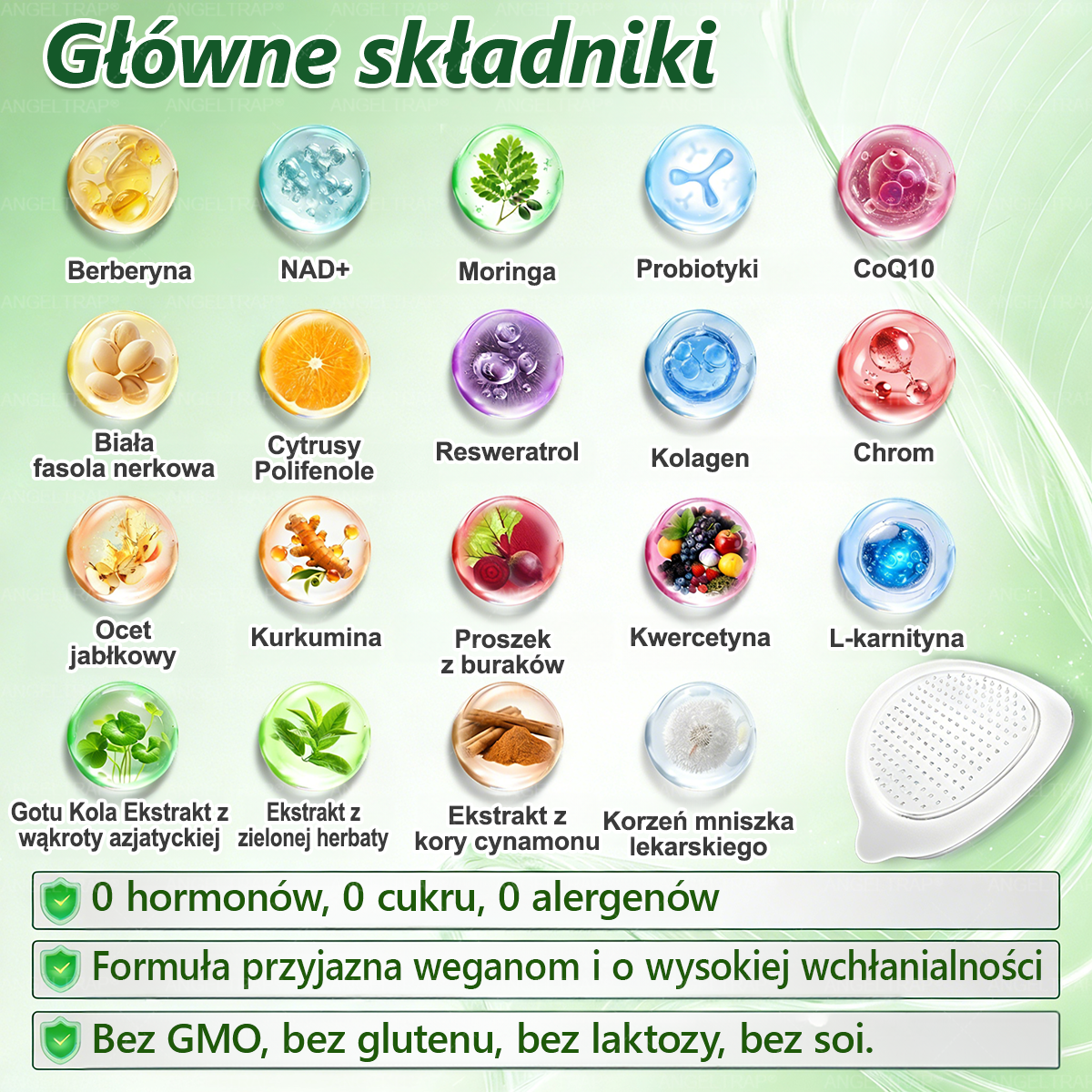 🧡ANGELTRAP® Moringa × Berberyna × AMPK 10-w-1 Wsparcie metaboliczne, plaster z nanotechnologią mikroigłową 🇵🇱(Wystarczy raz dziennie, widoczne efekty w 7 dni) ✅ Na otyłość, wiotką skórę, cukrzycę, bezdech senny, problemy ze stawami i wiele innych